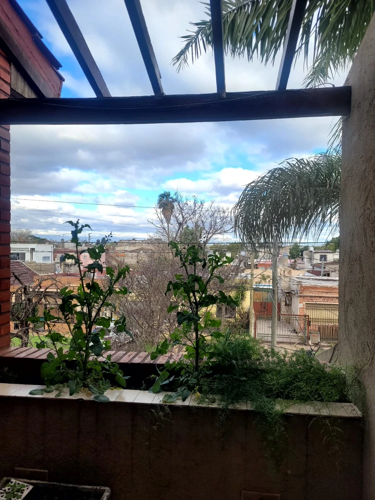 HURL-GAR-Figueron-005