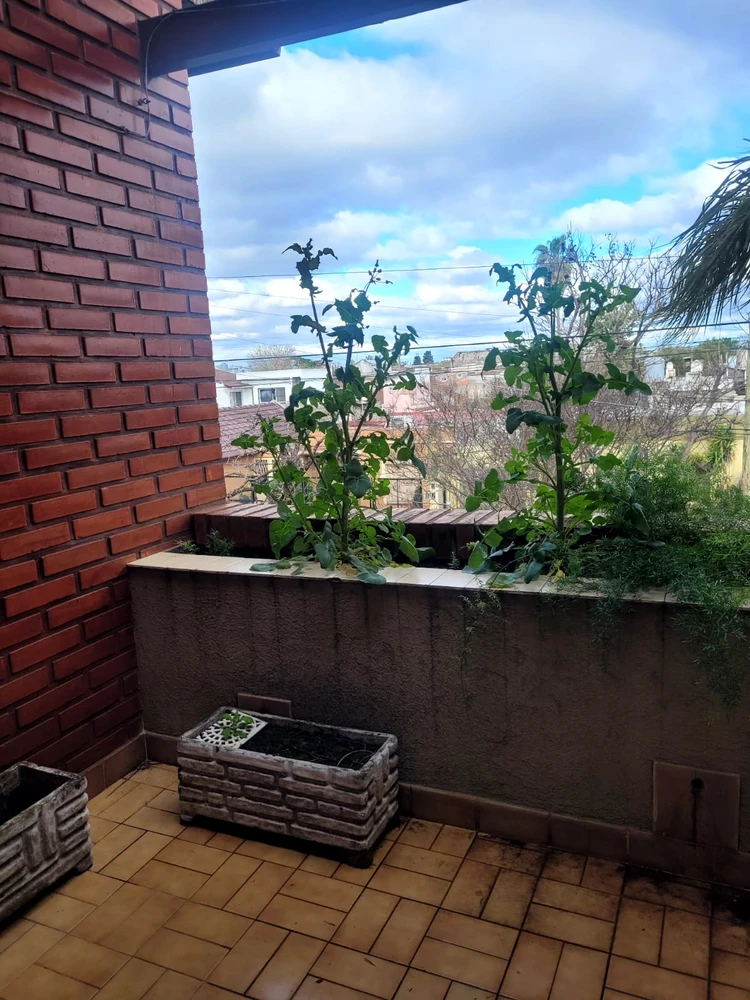 HURL-GAR-Figueron-023